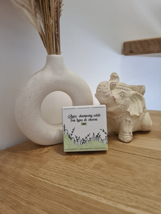 APRES SHAMPOING SOLIDE