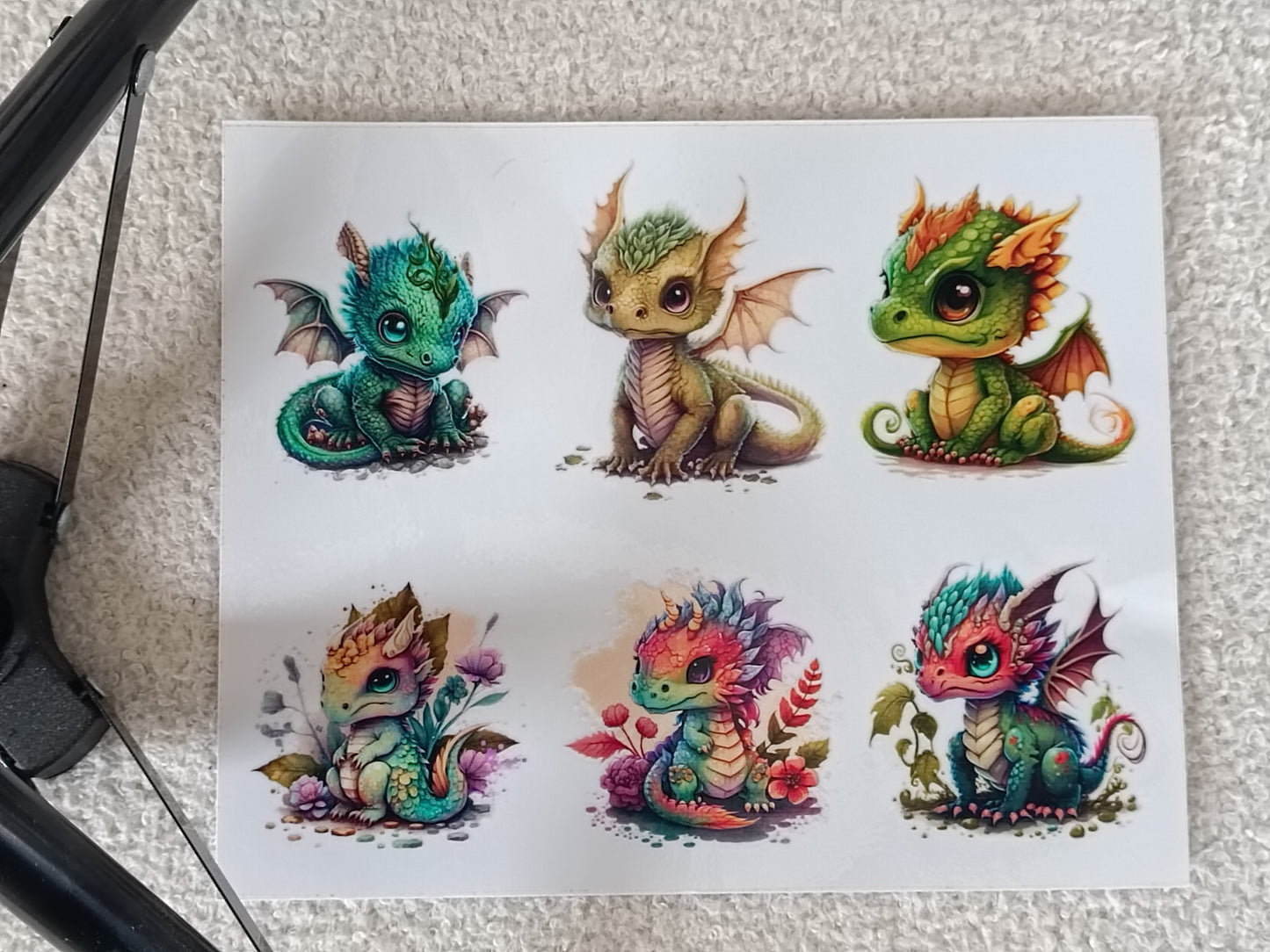Dragons