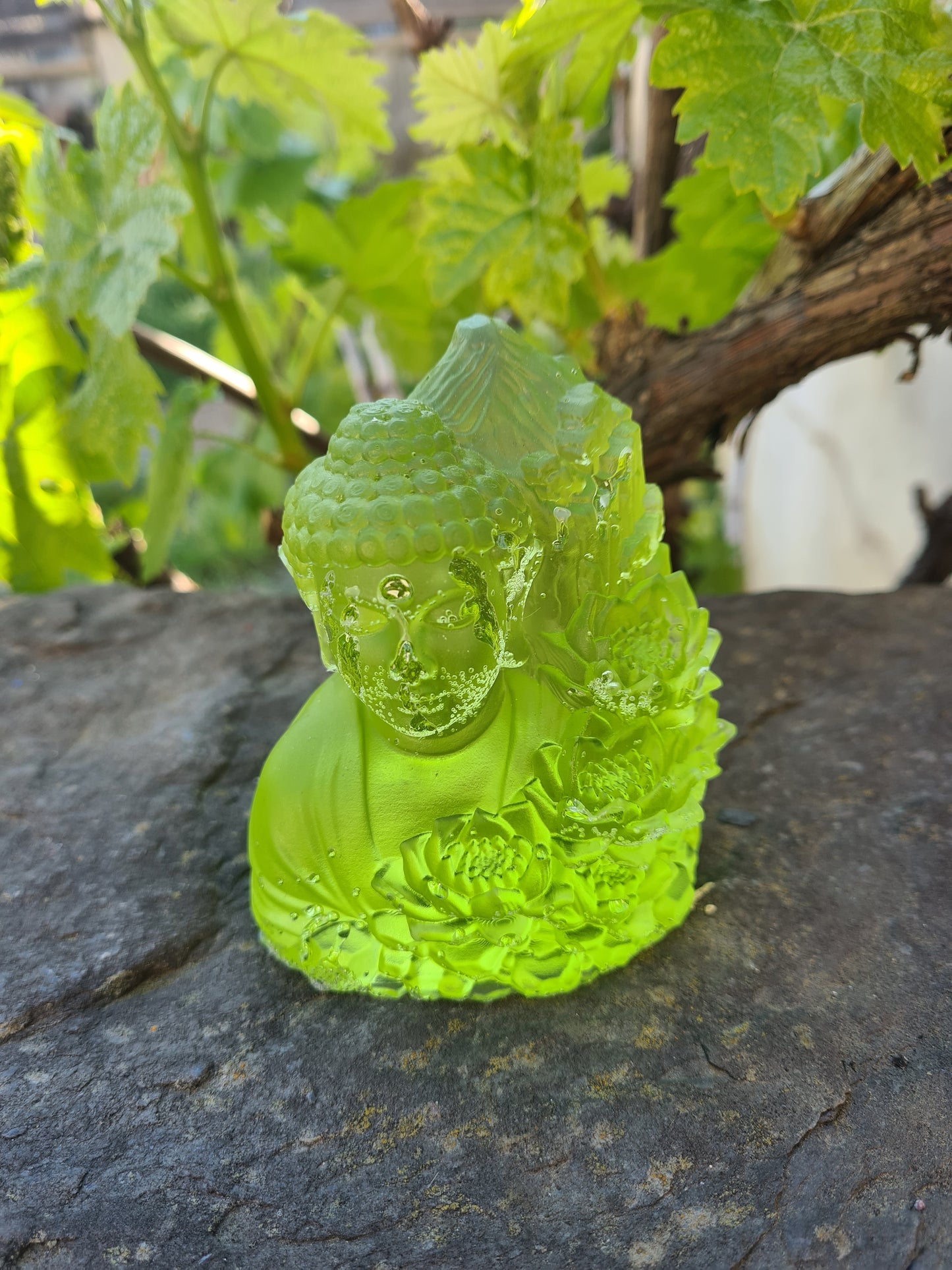 Bouddha et Lotus