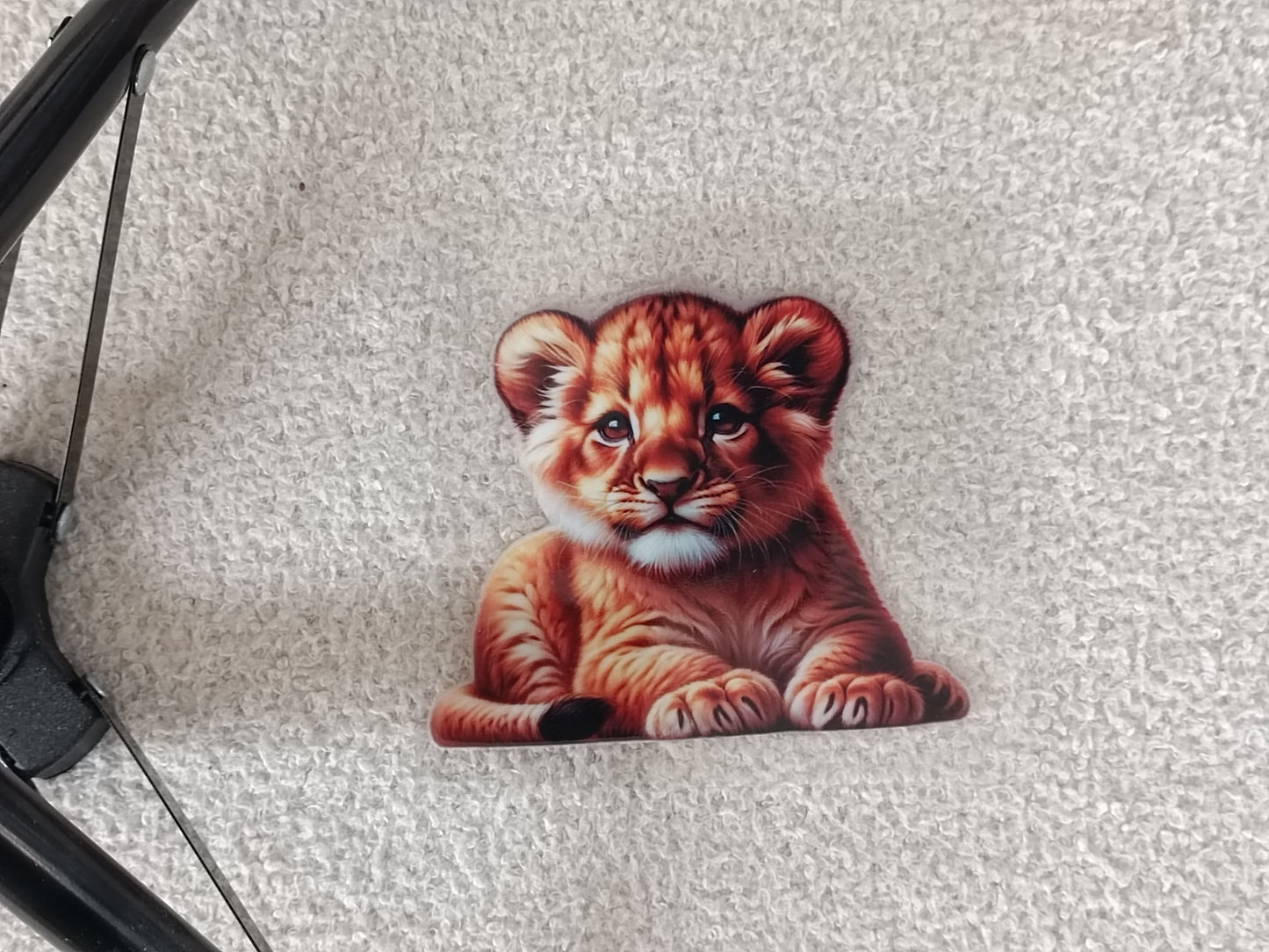 Lion/Lionne/Lionceau