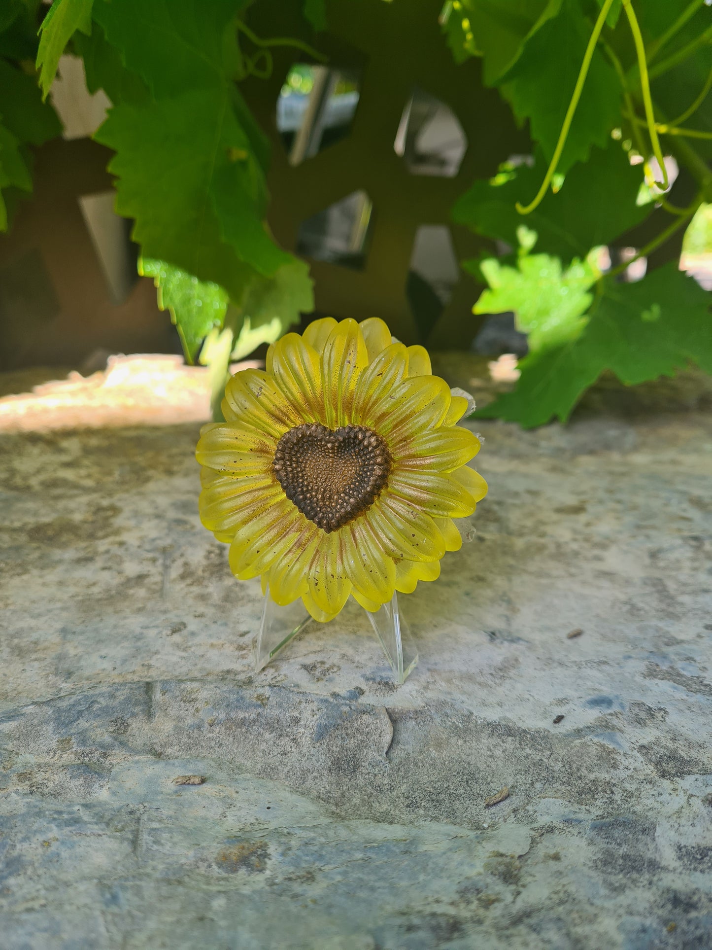 Tournesol Cœur
