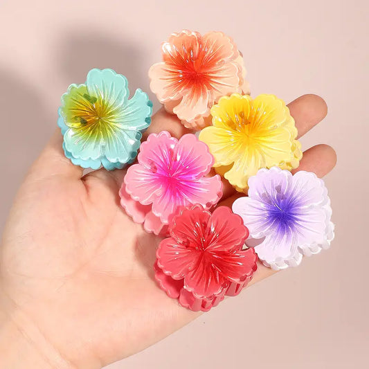 HIBISCUS PETITE