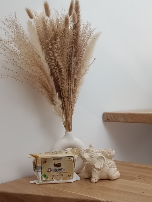 Lingettes Démaquillante Bave D'Escargots
