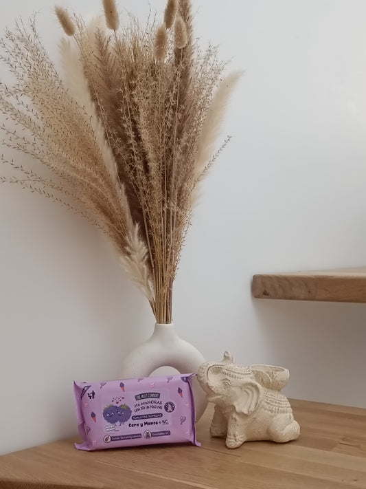 Lingettes Mûre