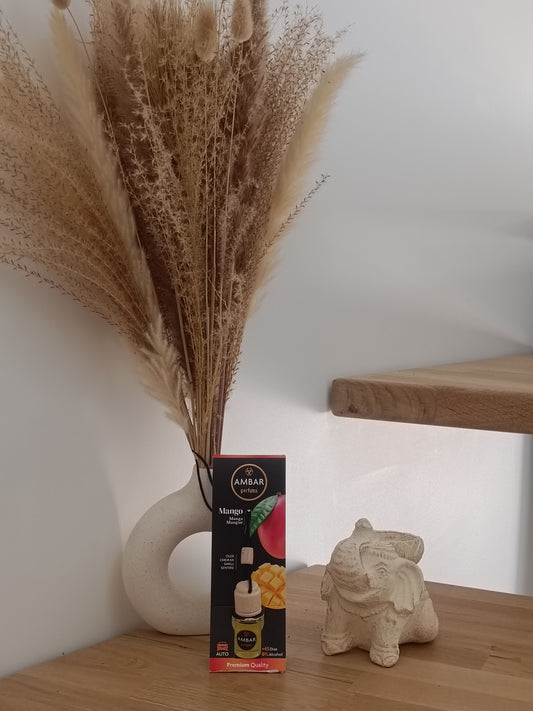 PARFUM VOITURE MANGUE