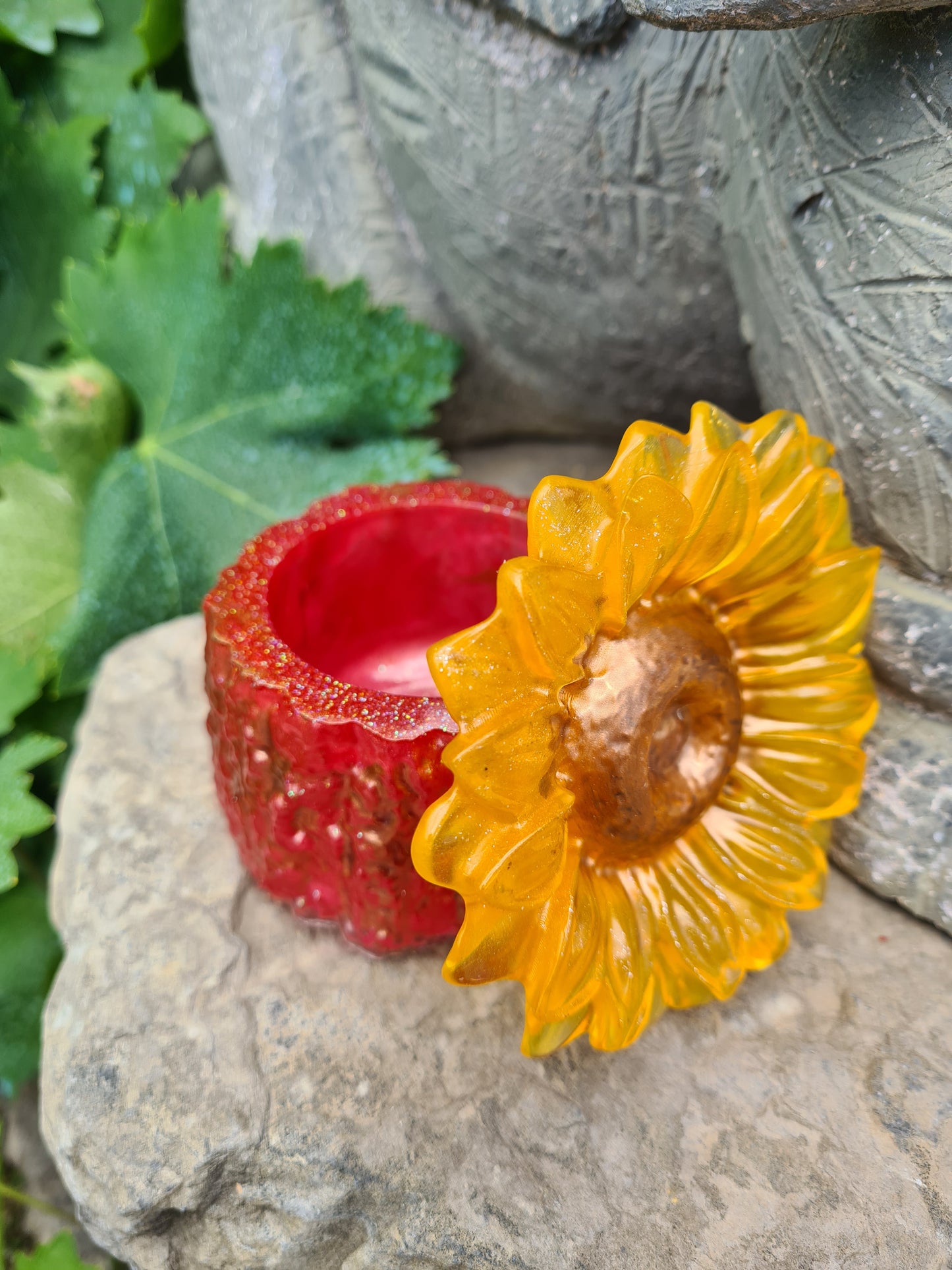 Tournesol boîte
