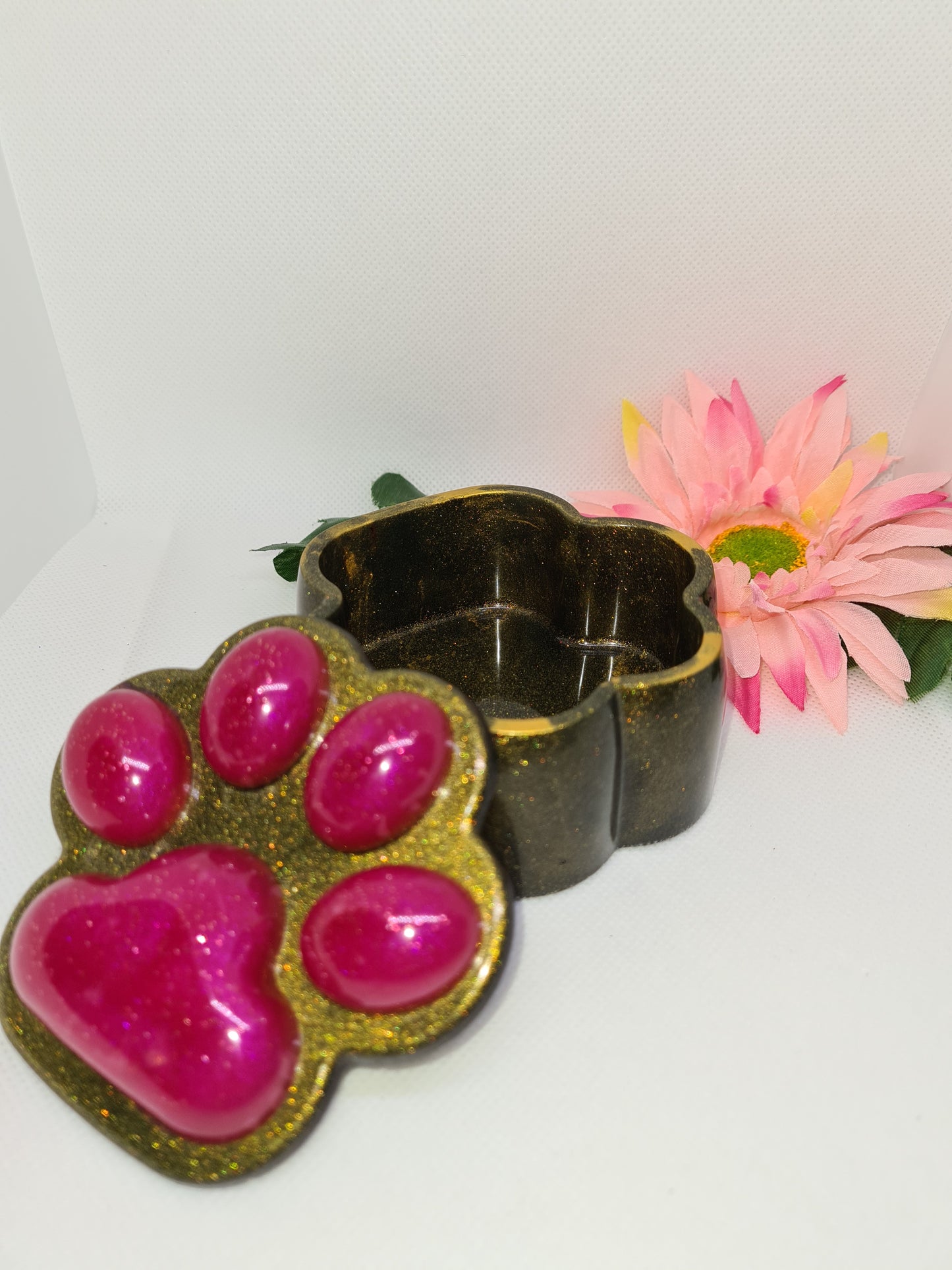 BOITE PATTE DE CHIEN