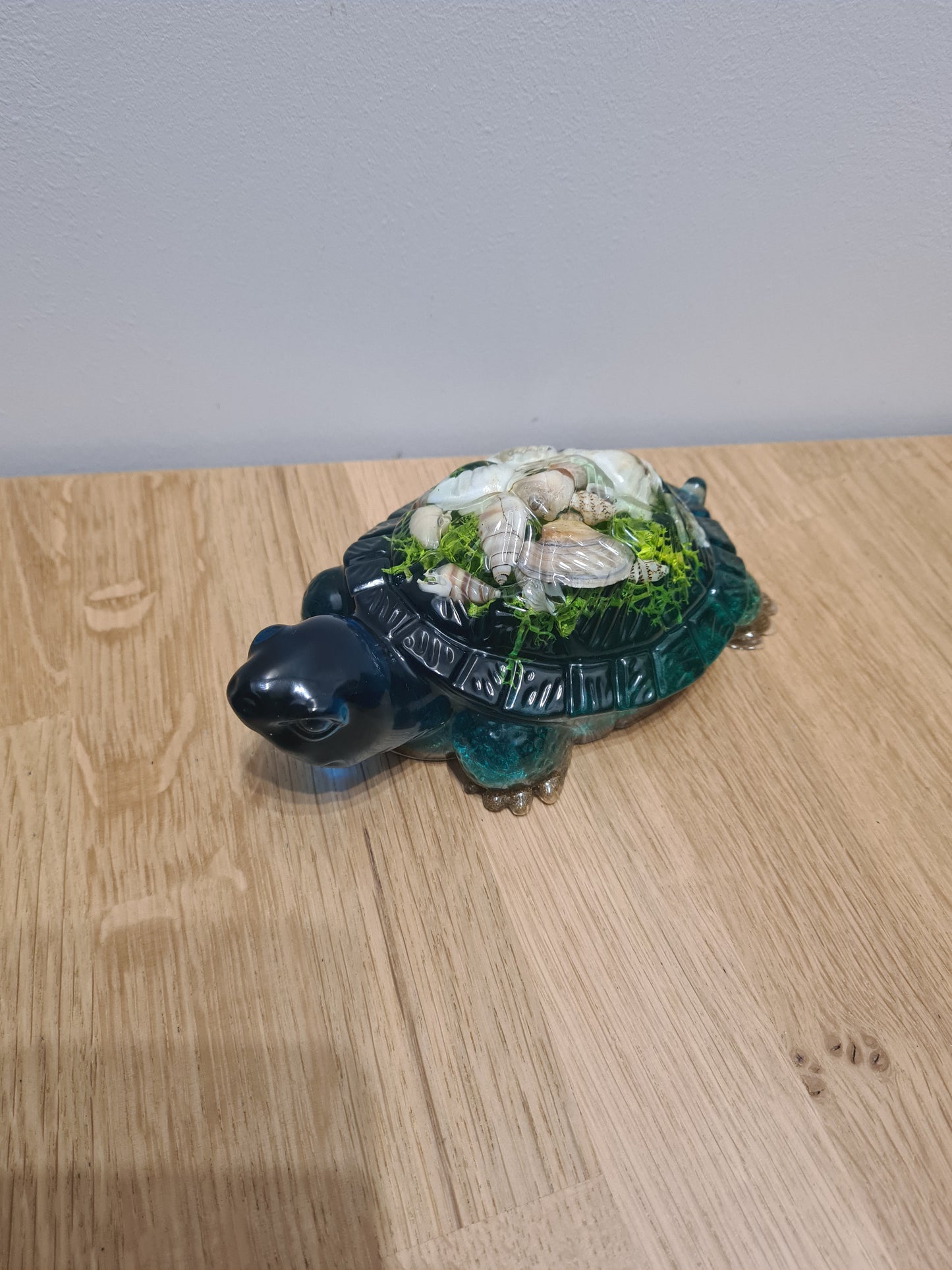 Tortue Xl