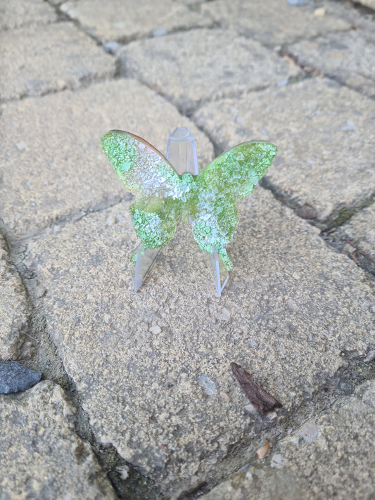 Petit papillon druzzy