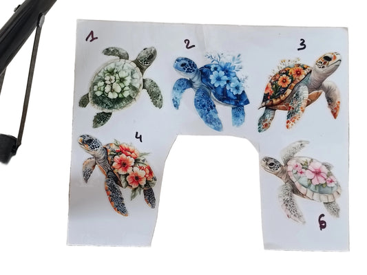 Tortues 1