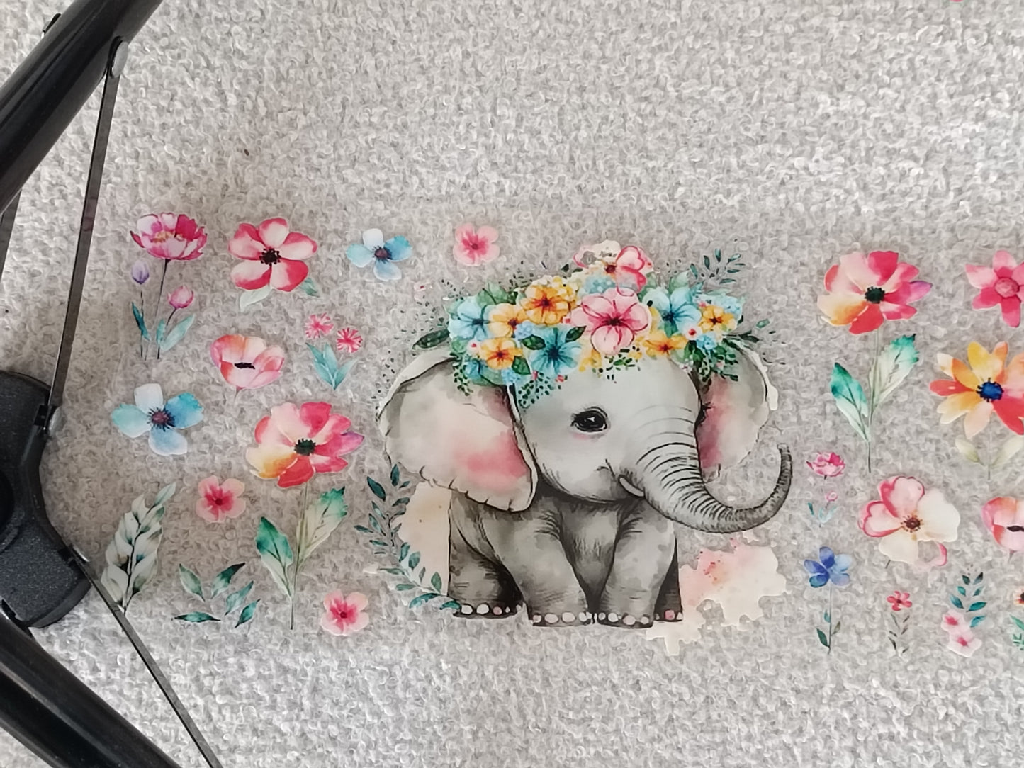 Éléphants
