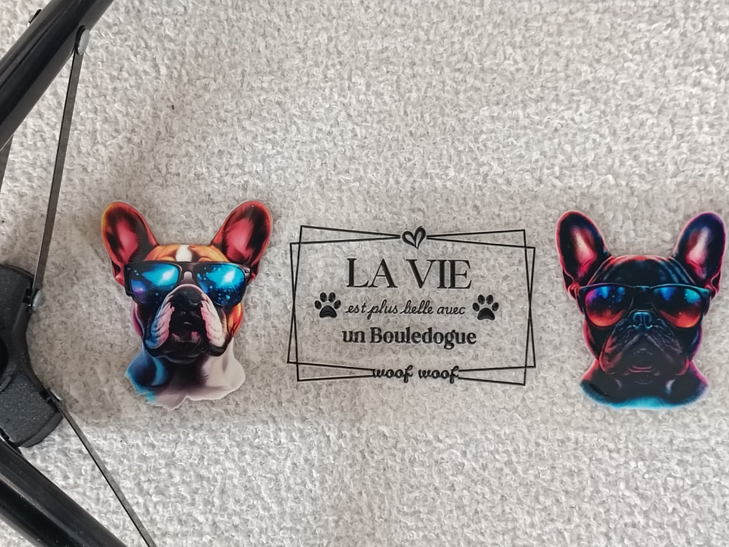 Chats/Chiens