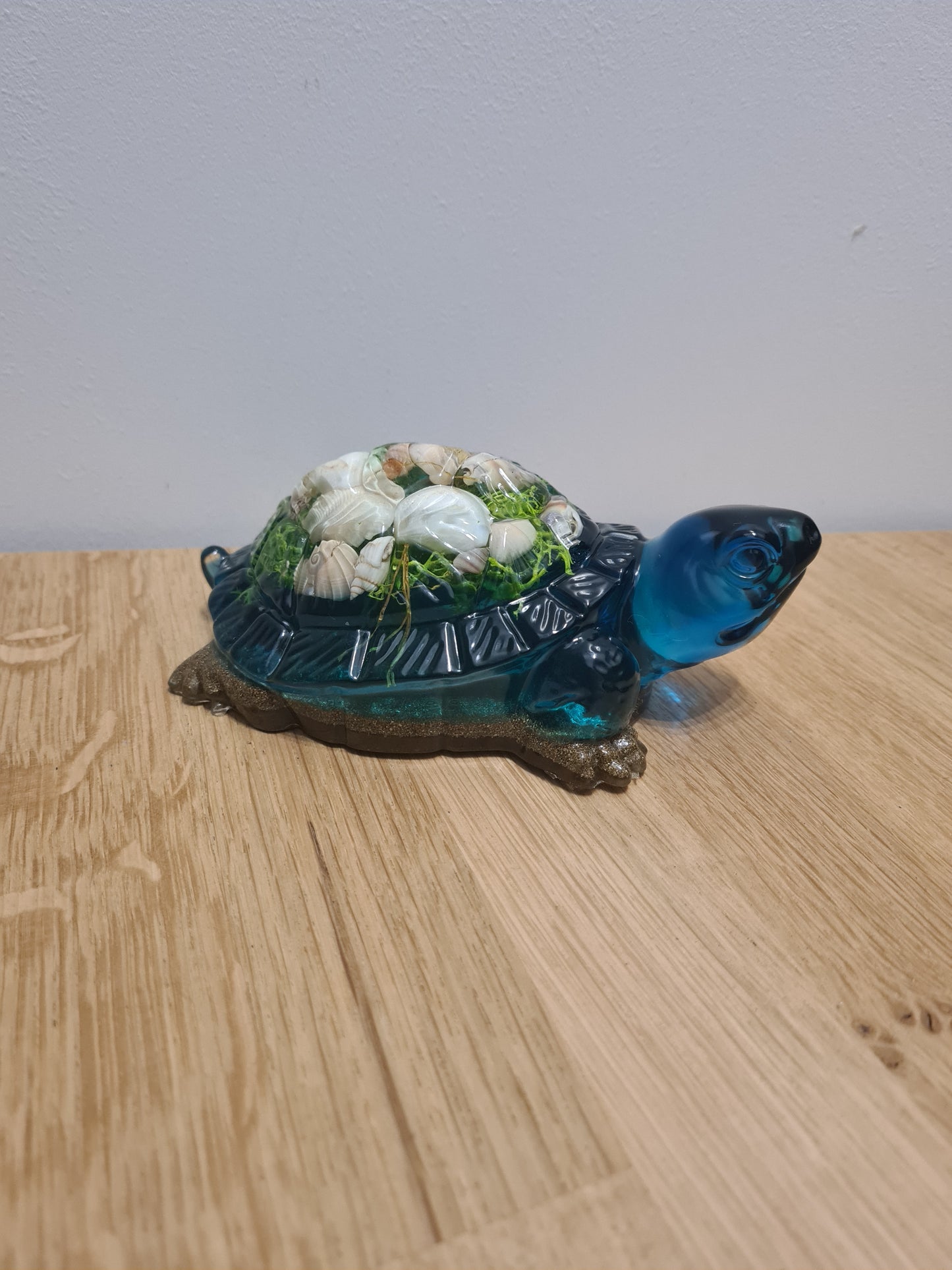 Tortue Xl