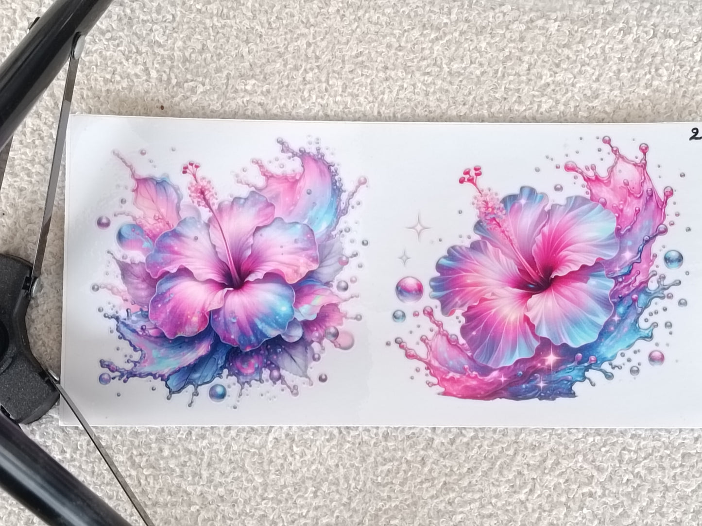 Fleurs