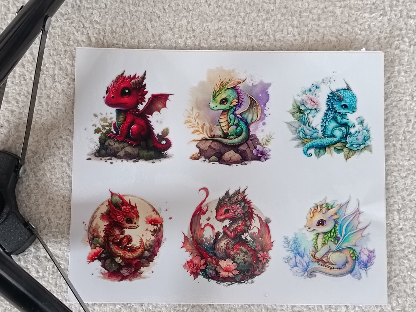 Dragons