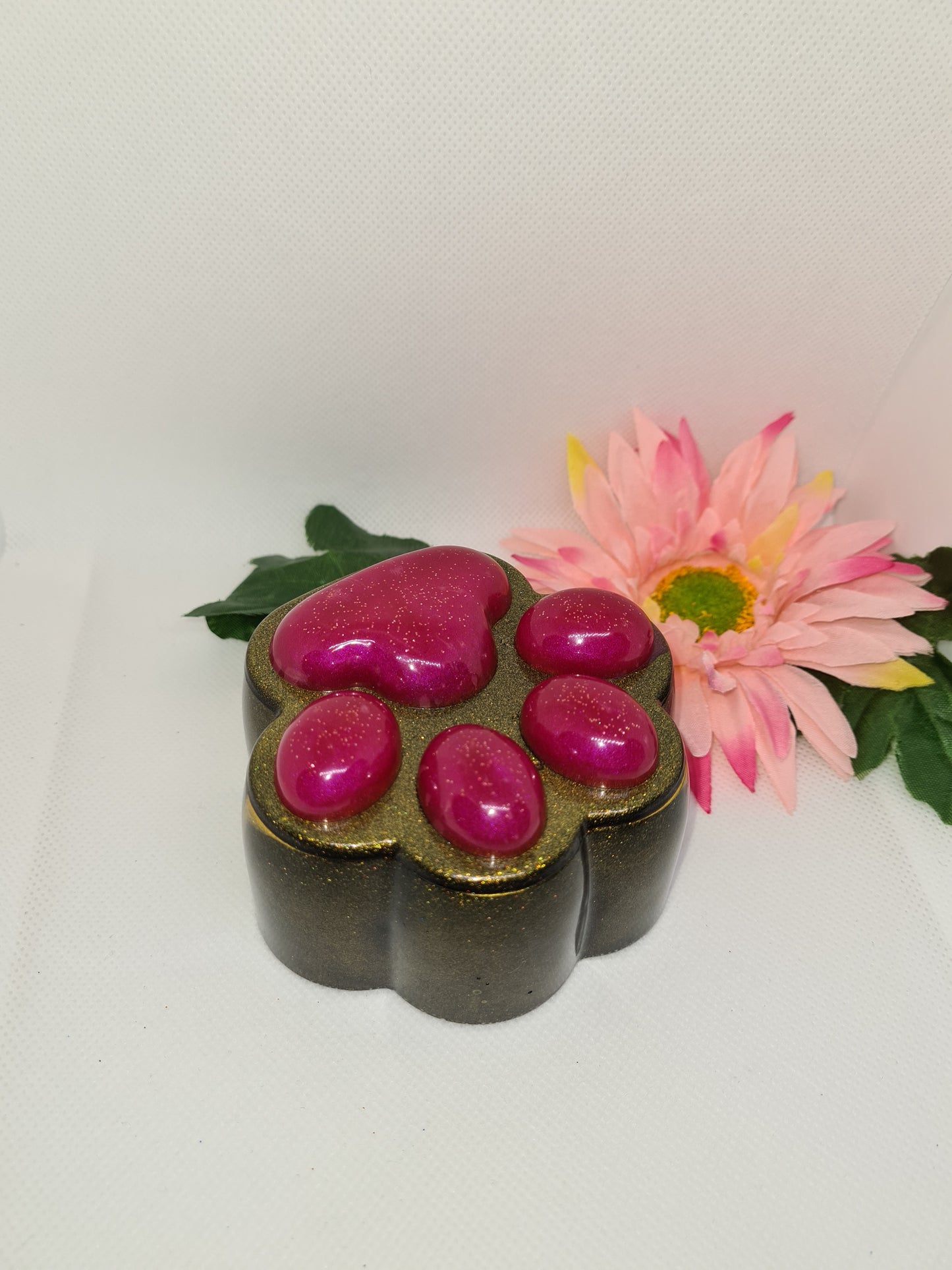 BOITE PATTE DE CHIEN