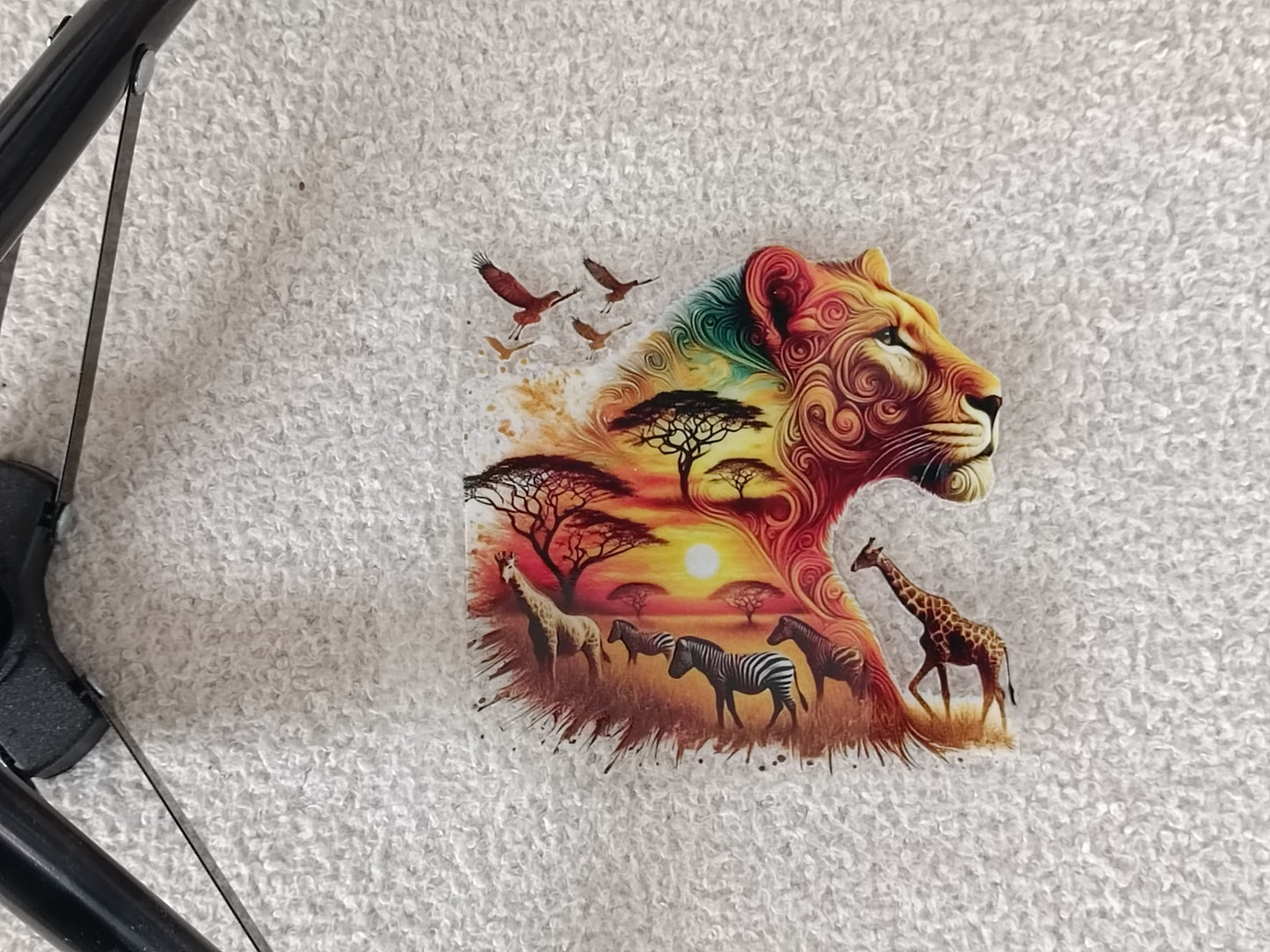 Lion/Lionne/Lionceau