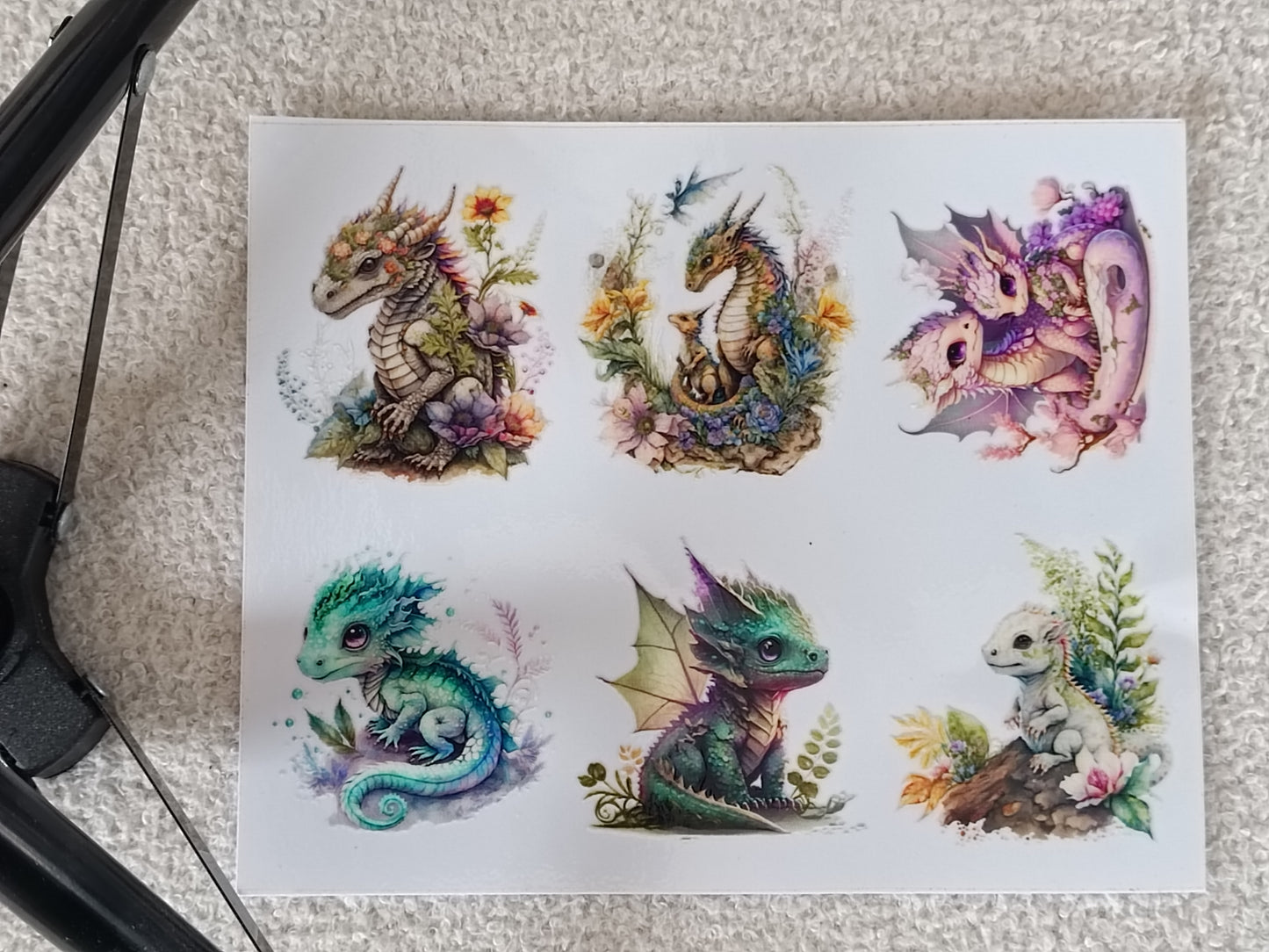 Dragons