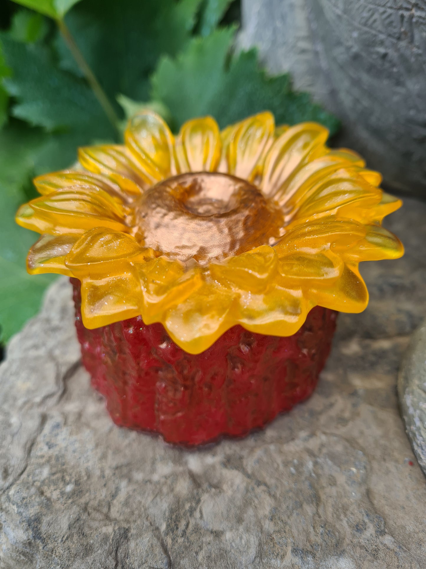 Tournesol boîte