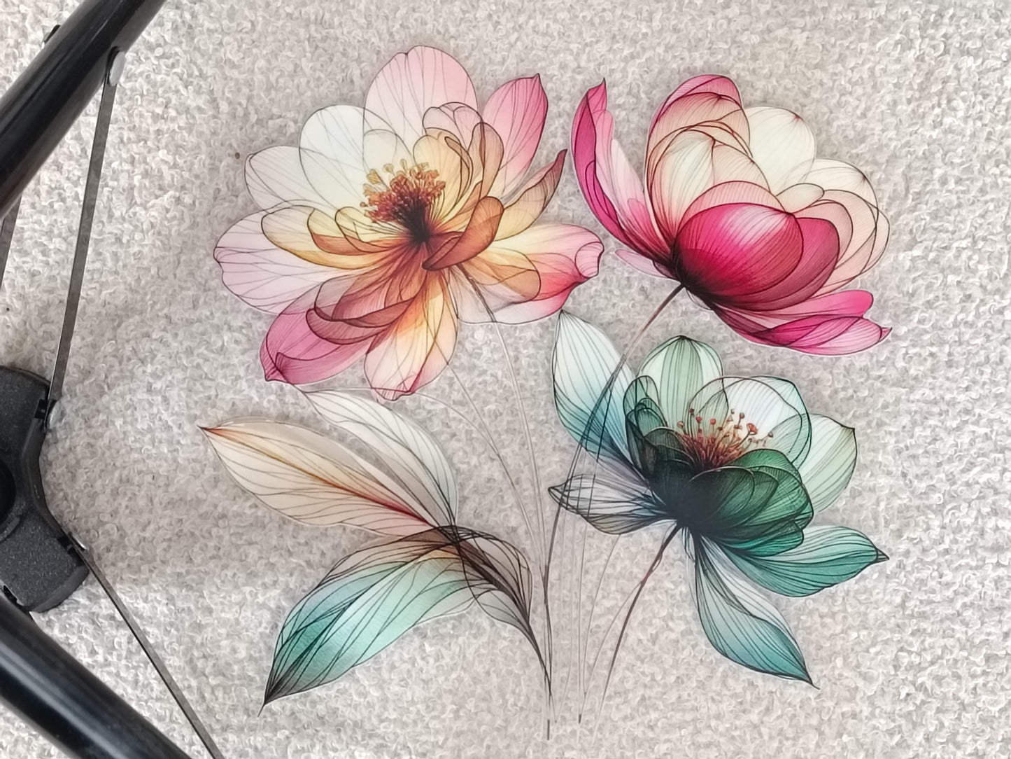 Fleurs