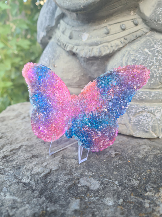 Papillon druzy