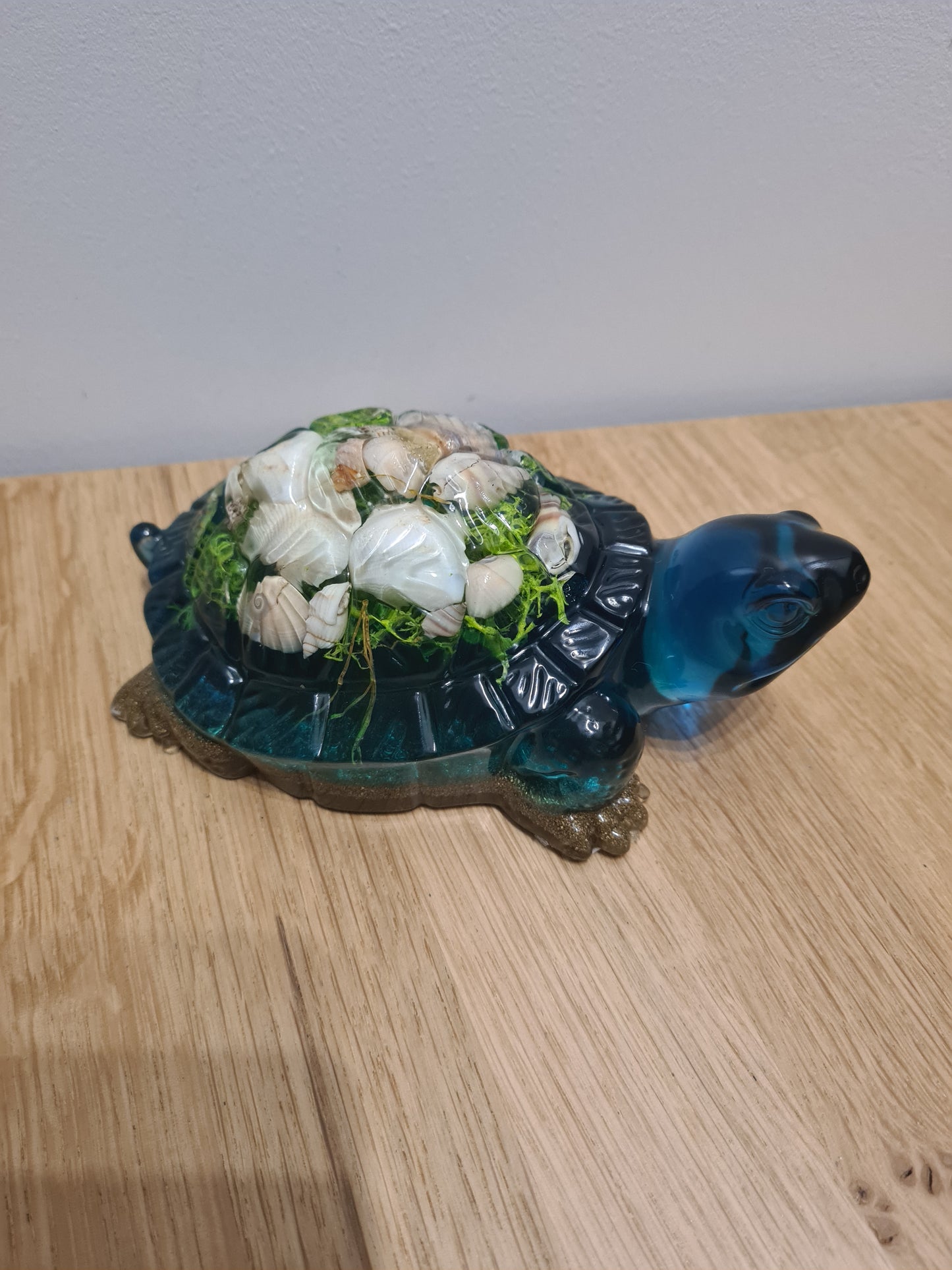 Tortue Xl