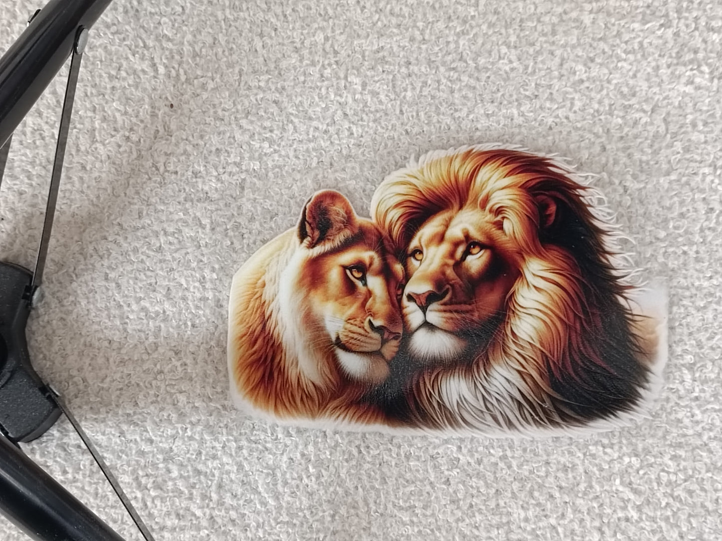 Lion/Lionne/Lionceau