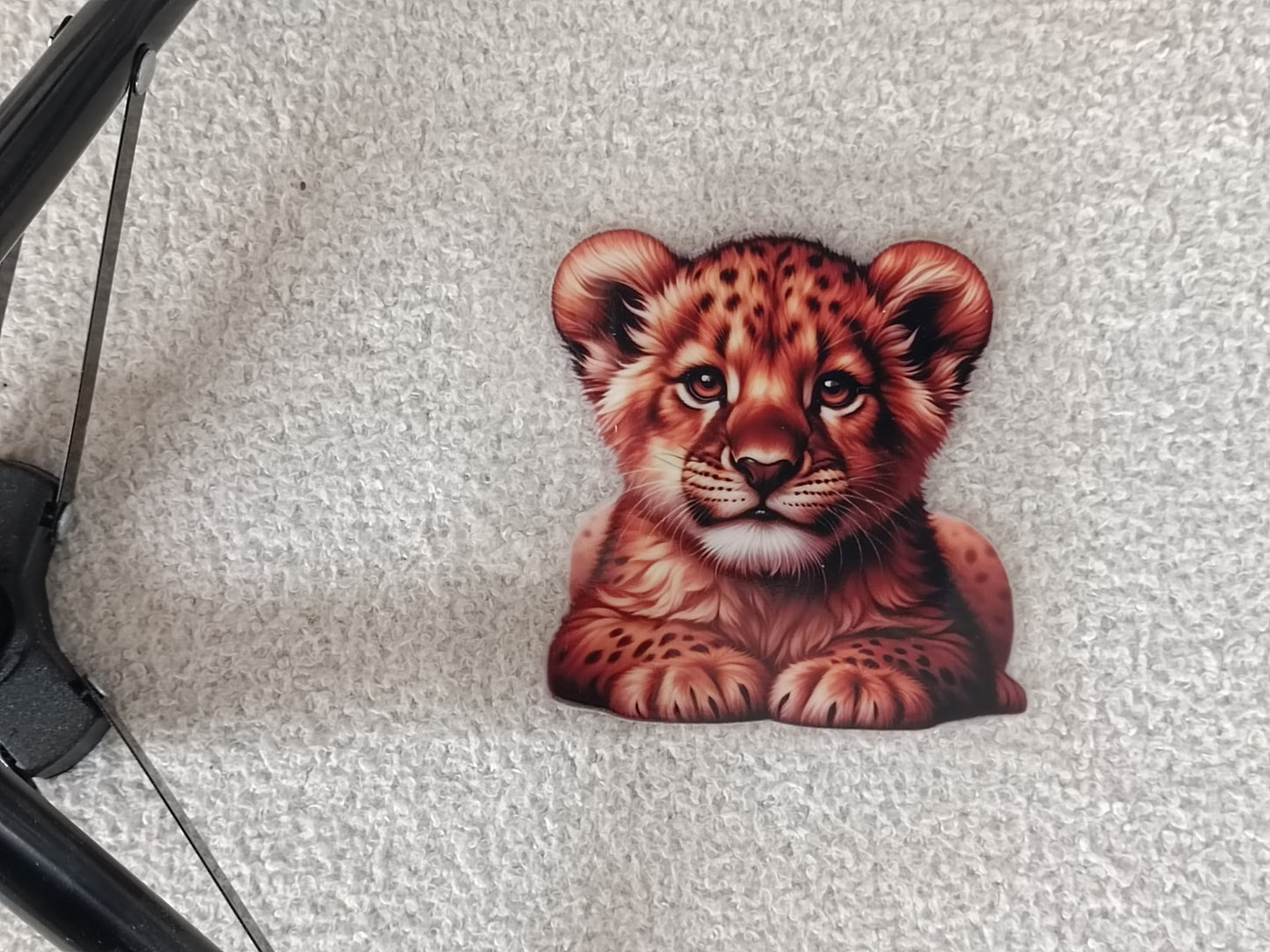 Lion/Lionne/Lionceau