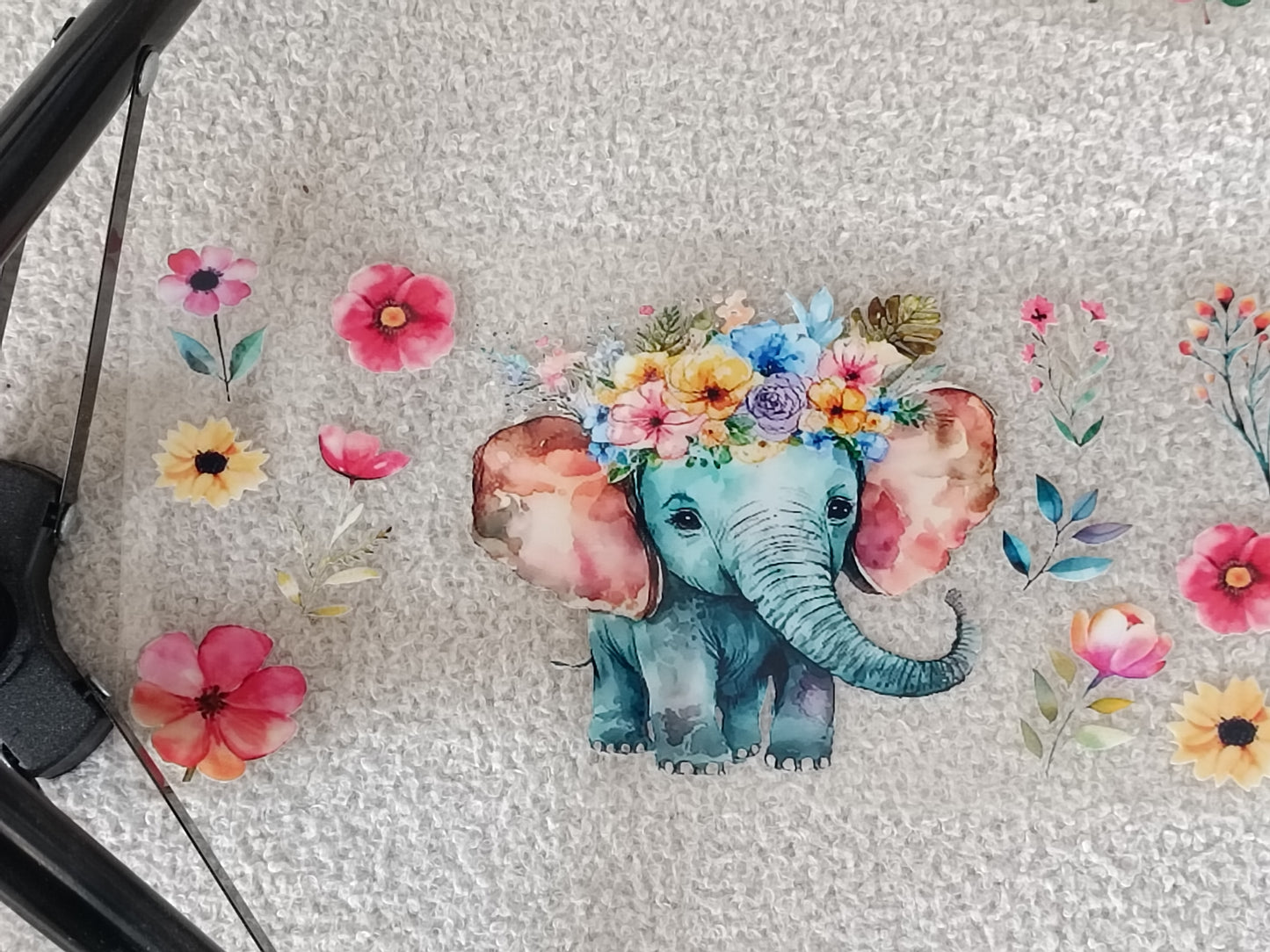 Éléphants