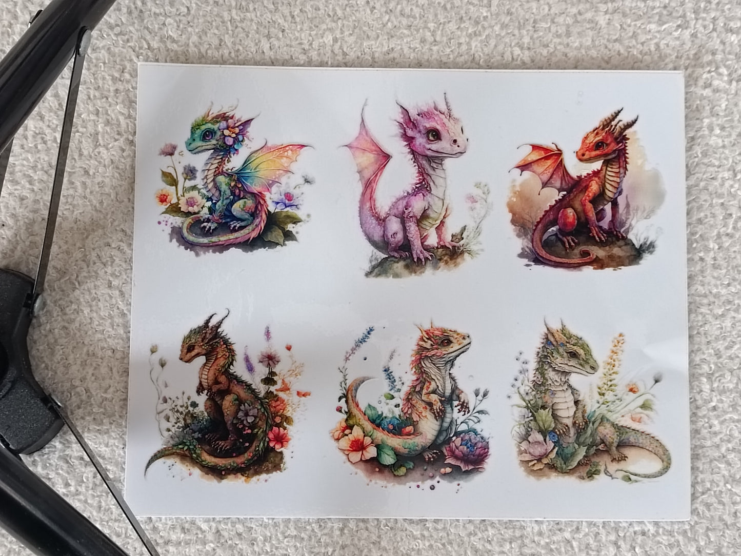 Dragons
