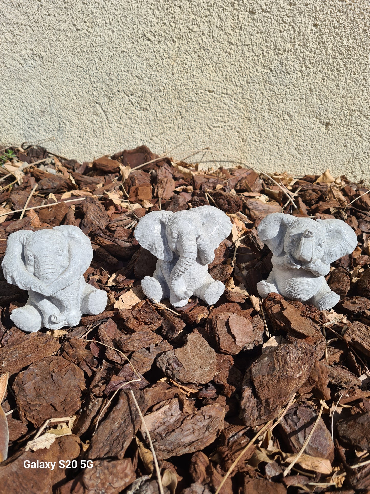 Éléphants de la sagesse