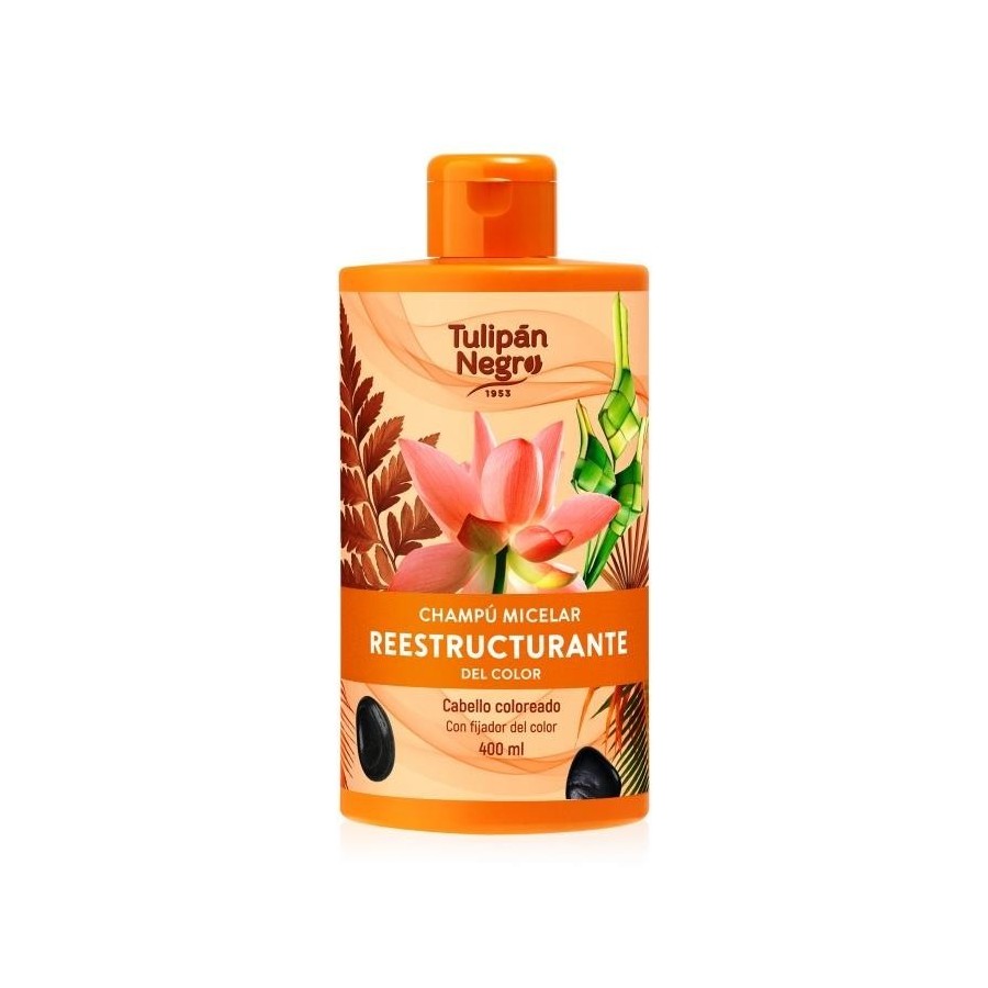 SHAMPOING RESTRUCTURANT COULEUR